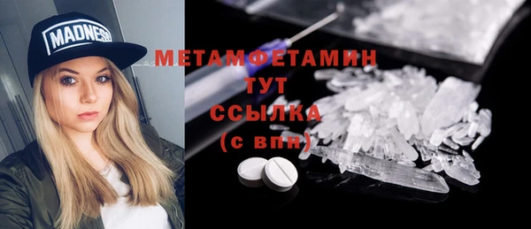 прущие грибы Вяземский