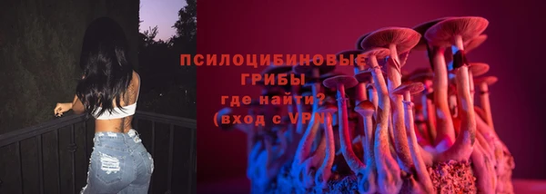 спиды Горняк
