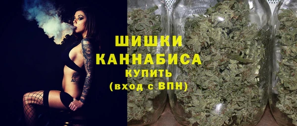 прущие грибы Вяземский