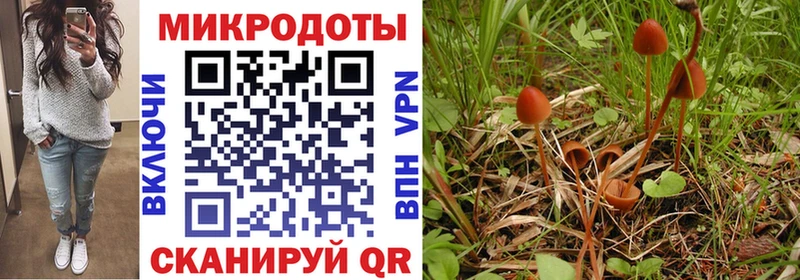Купить закладки  Невельск  Псилоцибиновые грибы прущие грибы 